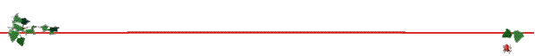 line14.gif (2215 bytes)